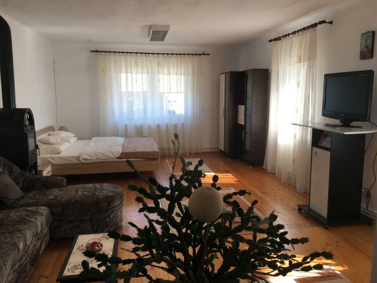 Brick Airport Apartment Cristian  Exterior photo
